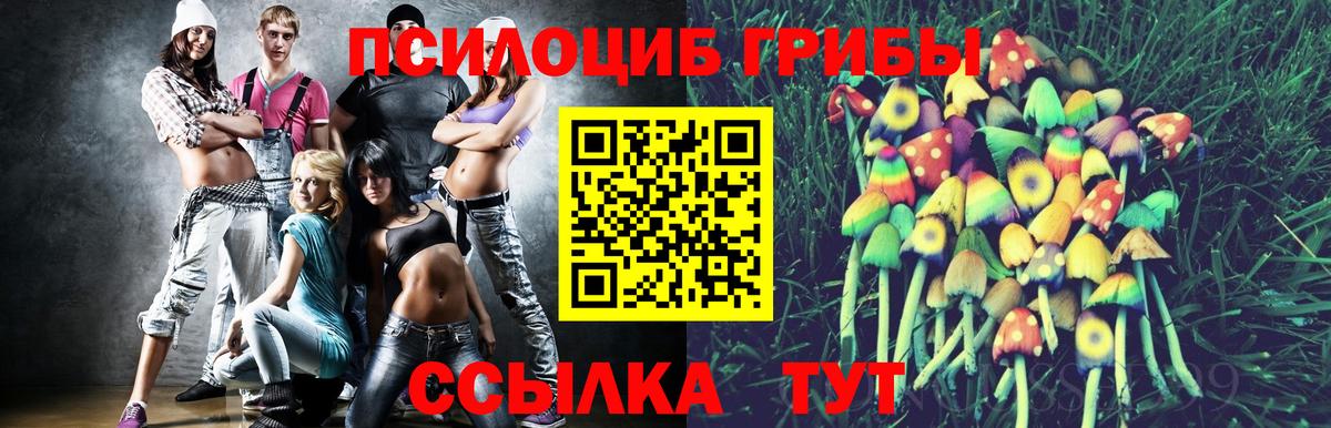 Псилоцибиновые грибы Psilocybine cubensis  Вход с VPN  Будённовск 